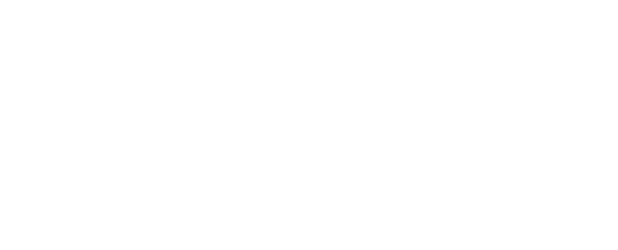 Land Cruiser 80 Series